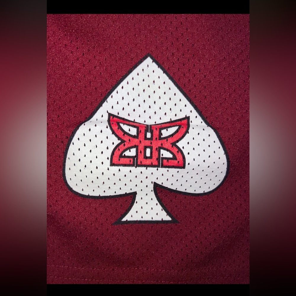 Ryoko Rain Lower Merion Bulldogs/Aces Shorts - Picture 3 of 4